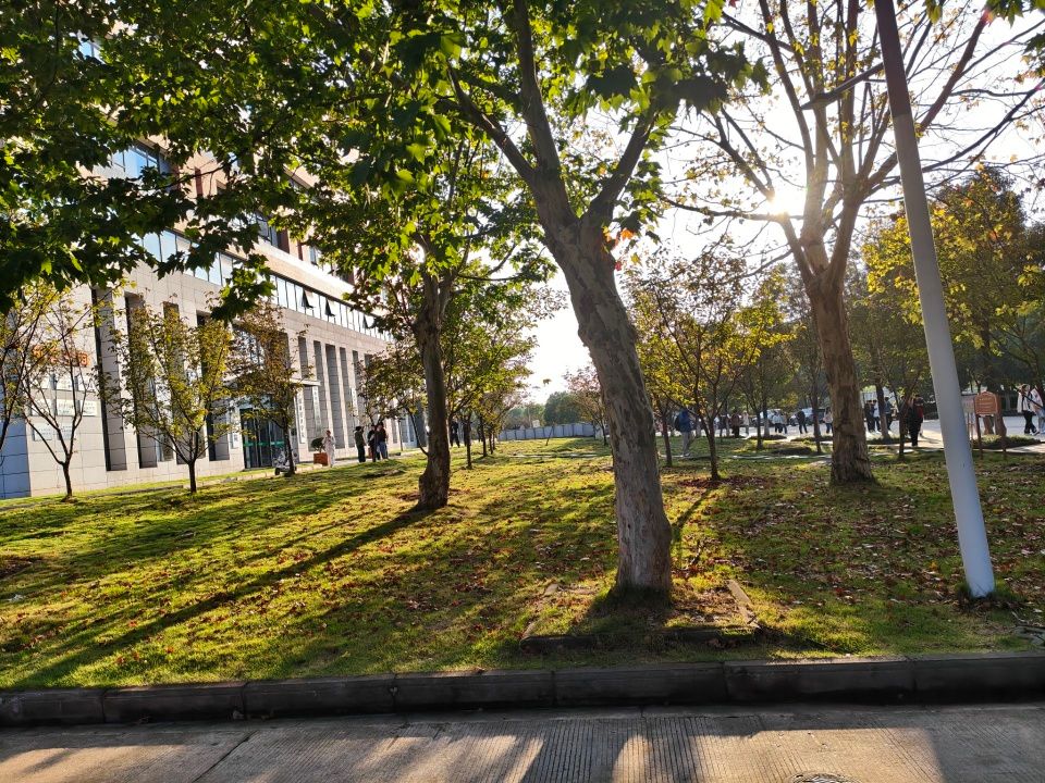 402am永利手机版