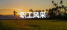 402am永利手机版