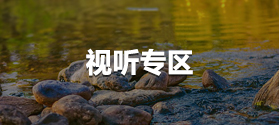 402am永利手机版